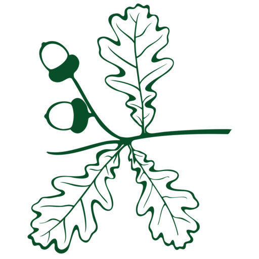 Pirtniece Iveta Gulbe